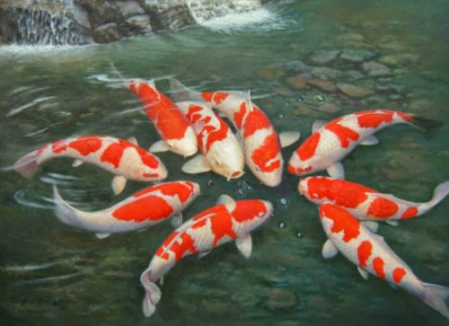 nằm mơ thấy cá